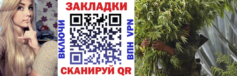 Виды наркотиков купить Закаменск АМФ  Меф мяу мяу  КОКАИН  ГАШ  Марихуана 