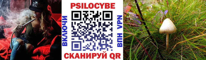 Галлюциногенные грибы мицелий  Закаменск 